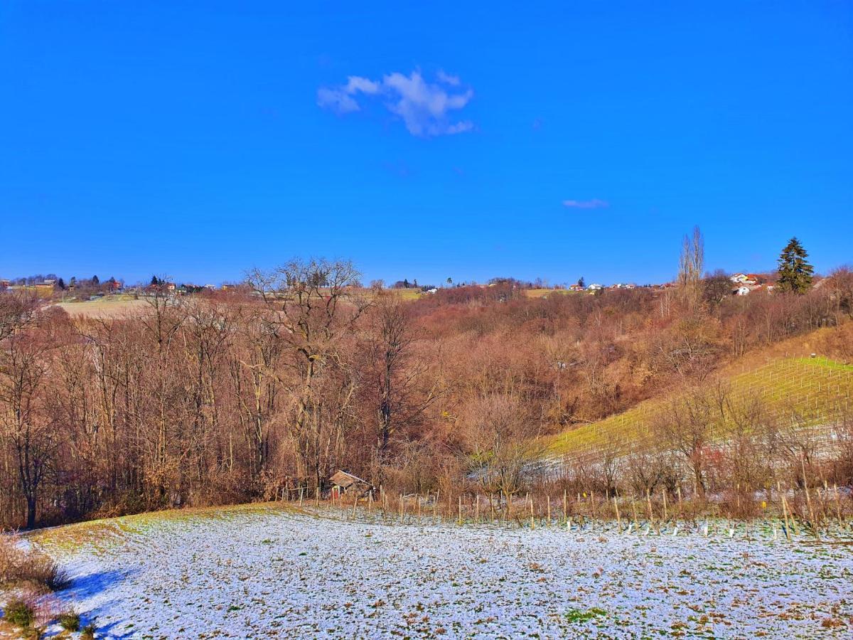 Gornji Mihaljevec Holiday Home Bella Vita מראה חיצוני תמונה